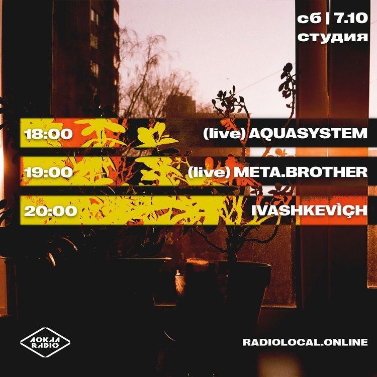 meta.brother (live) 7th October 2023